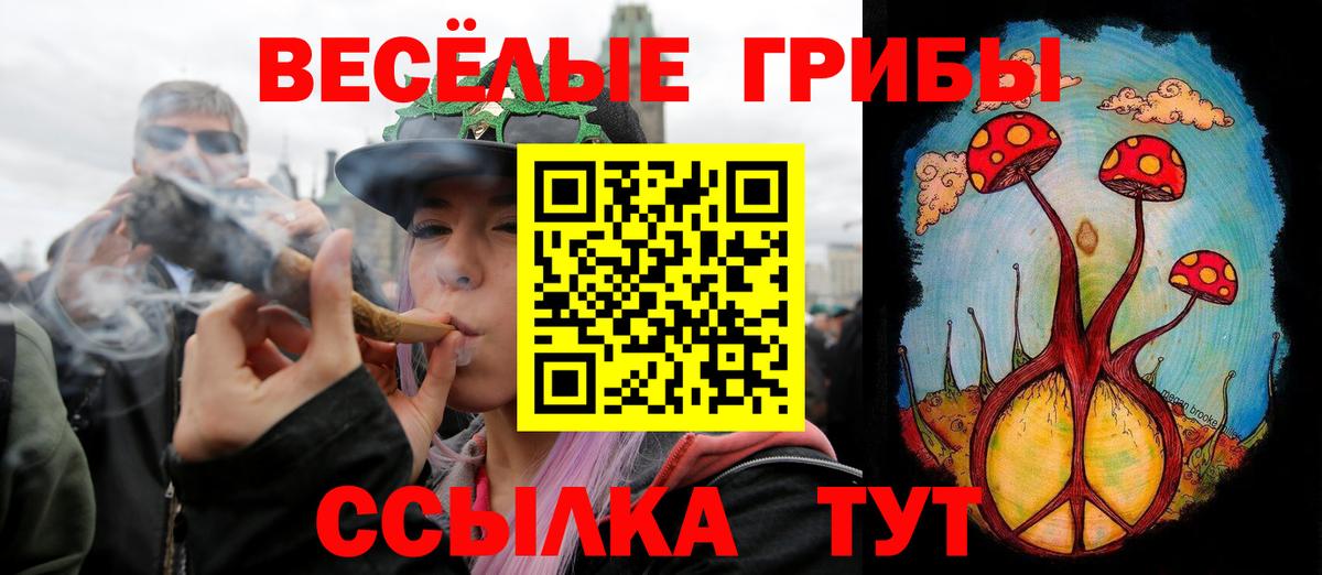 Галлюциногенные грибы GOLDEN TEACHER  Вход с VPN  Михайловск 