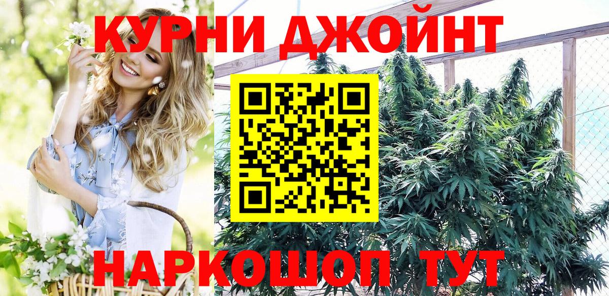 Бошки Шишки планчик  Конопля тримм  Михайловск  Канабис семена  Вход с VPN 